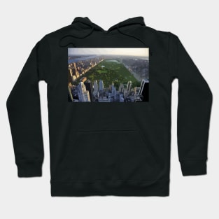 Central Park Painting From Above Hoodie